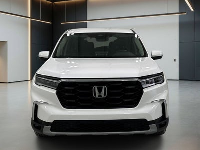 2024 Honda Pilot EX-L 8 Passenger